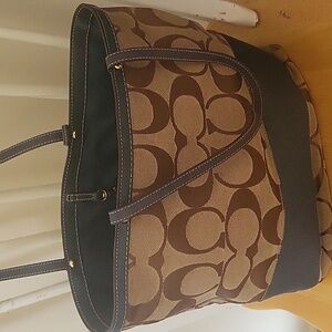 Hobo coach bag
